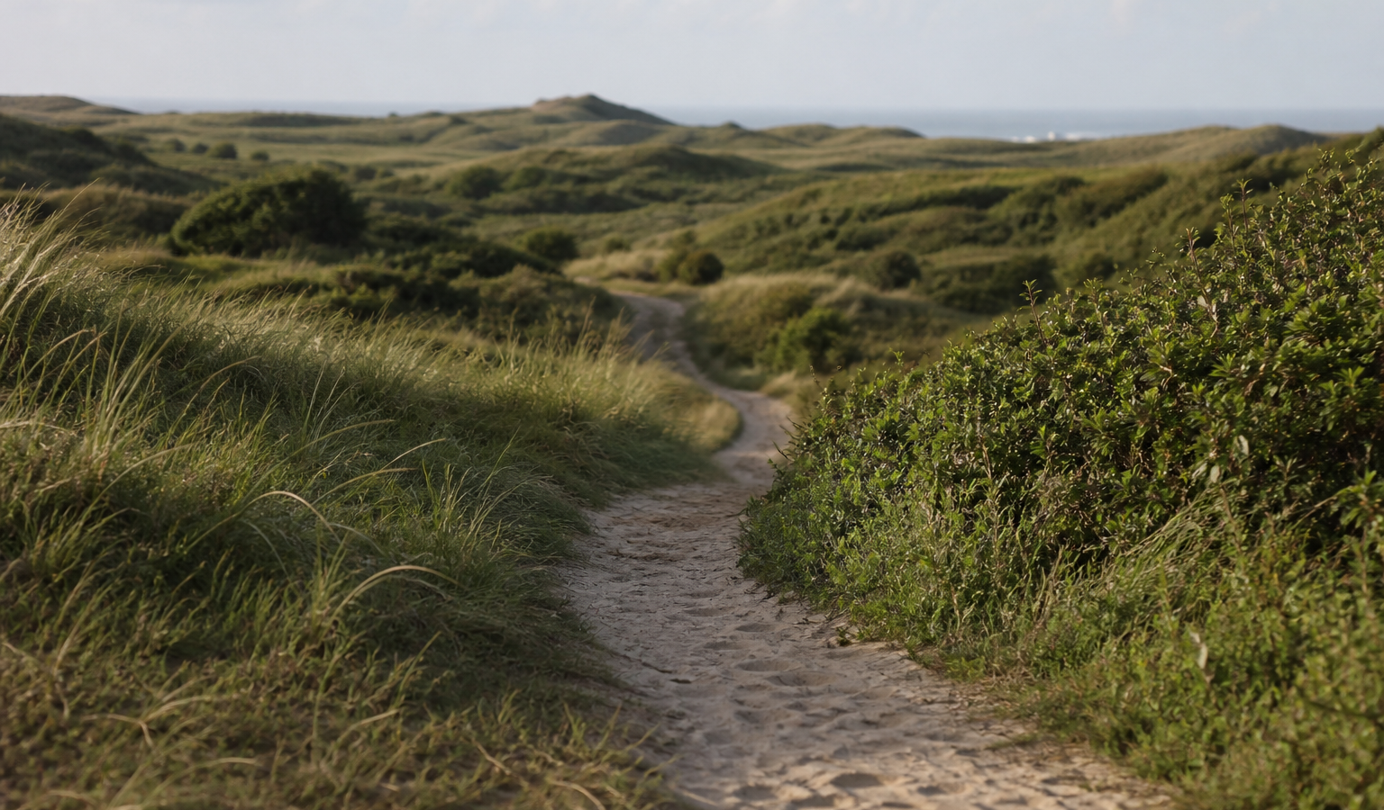 Wandelen Kennemerduinen: routes door de duinen bij Bloemendaal