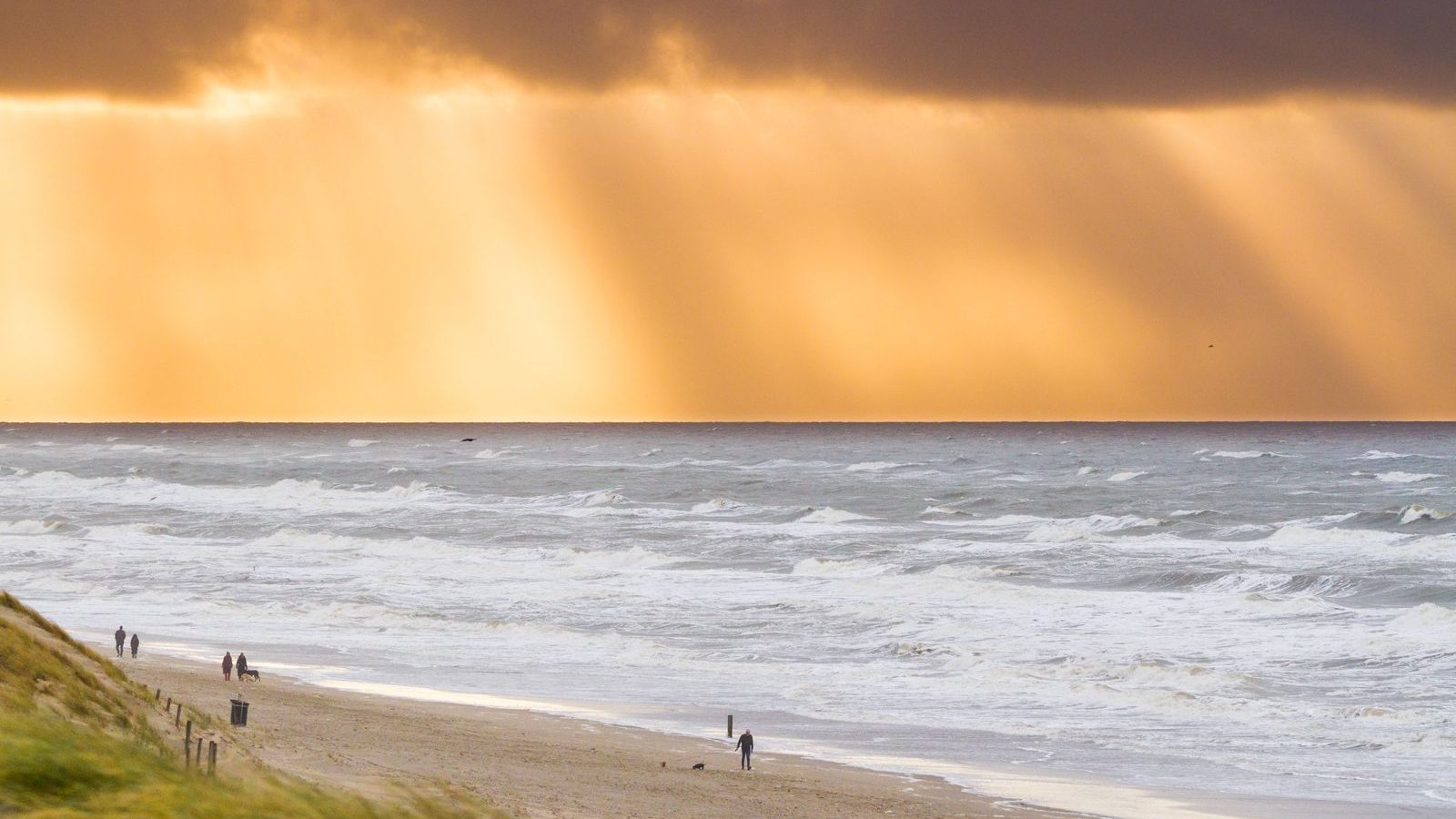 Wat kost een dagje strand in Nederland? Zo houd je het betaalbaar